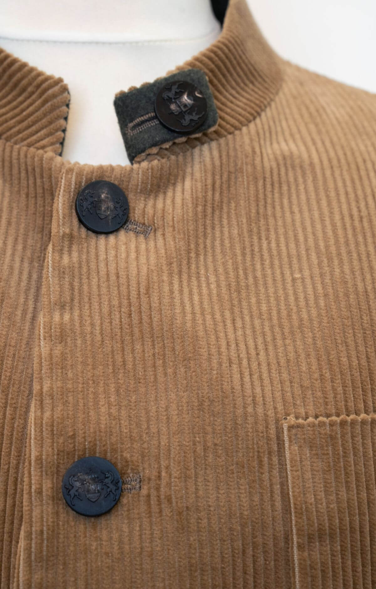 canissi-habsburg-barna-kordbarsony-zako-CAN-478-2-can-478 – CAN-478