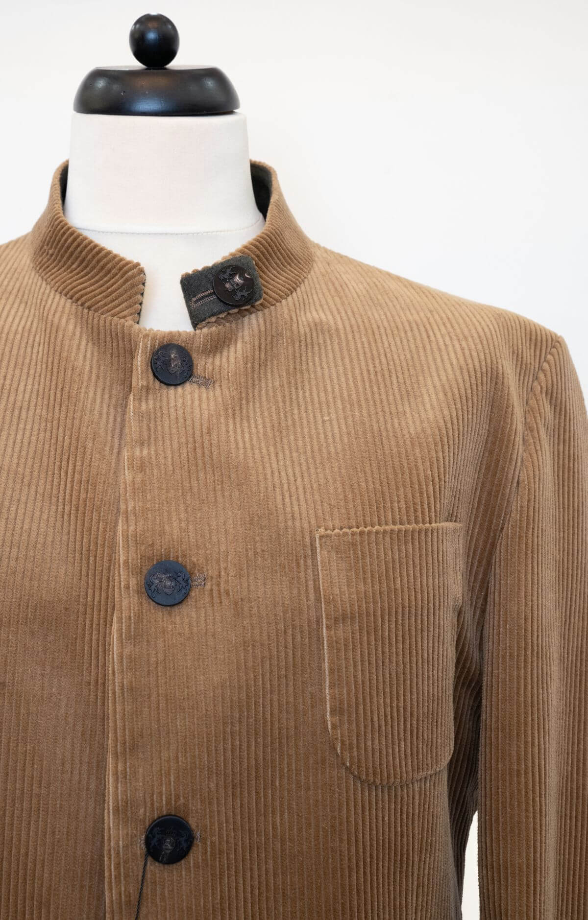 canissi-habsburg-barna-kordbarsony-zako-CAN-478-3-can-478 – CAN-478